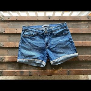 Flying Monkey Shorts